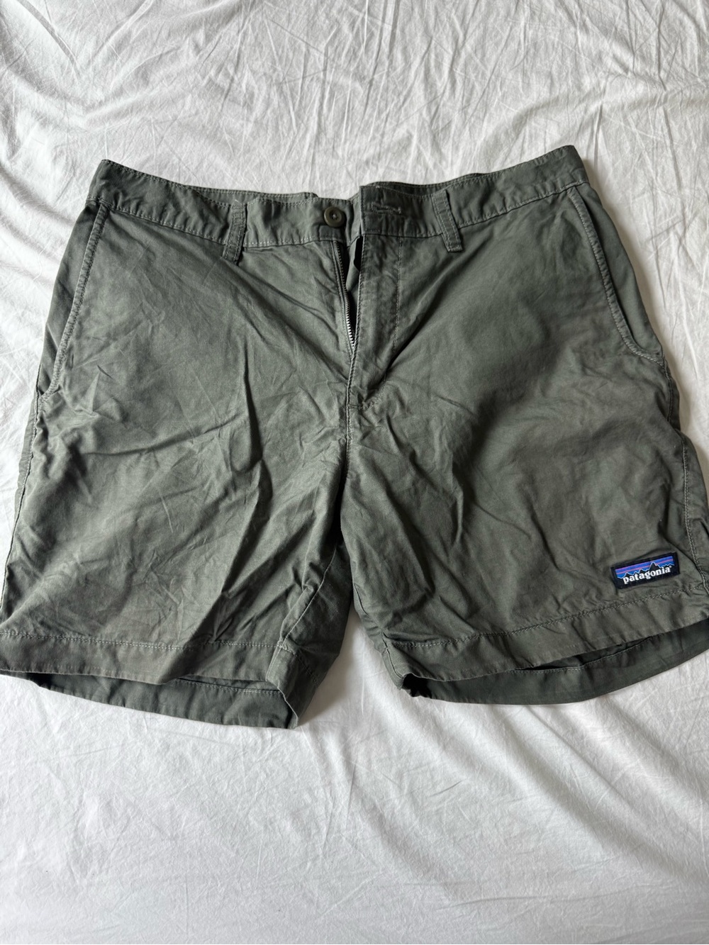 Patagonia Men's Olive Shorts with Blue Logo Patch